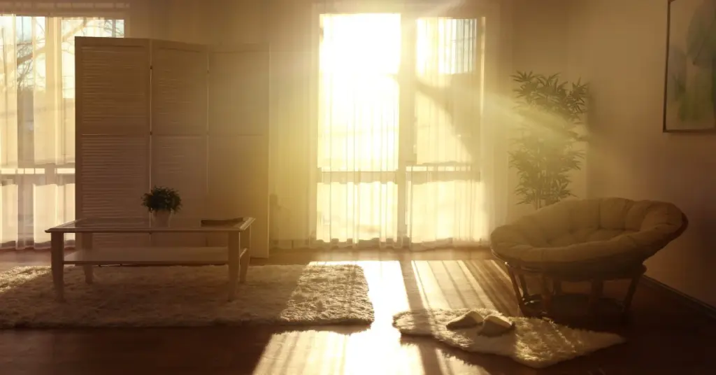 sun light
