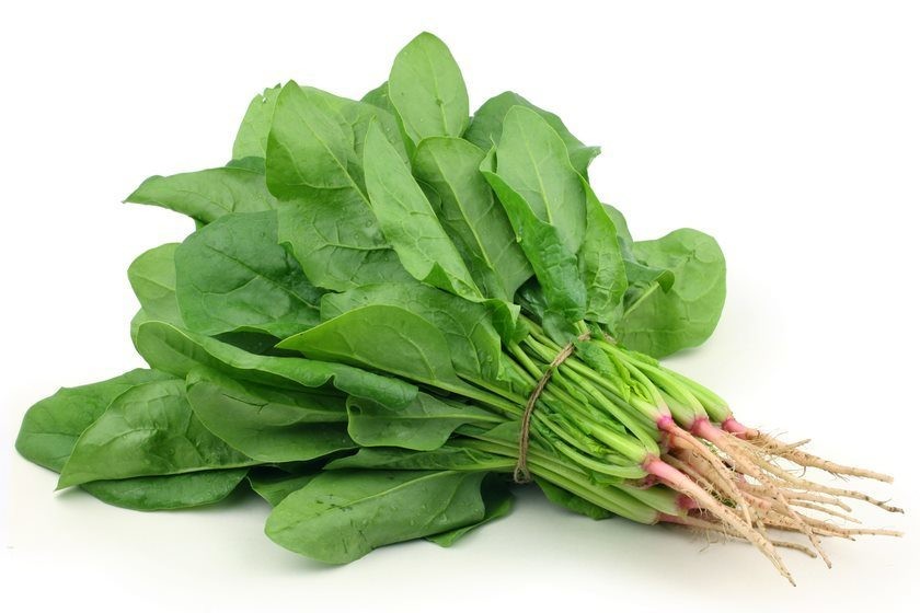 Spinach Palak Leaves