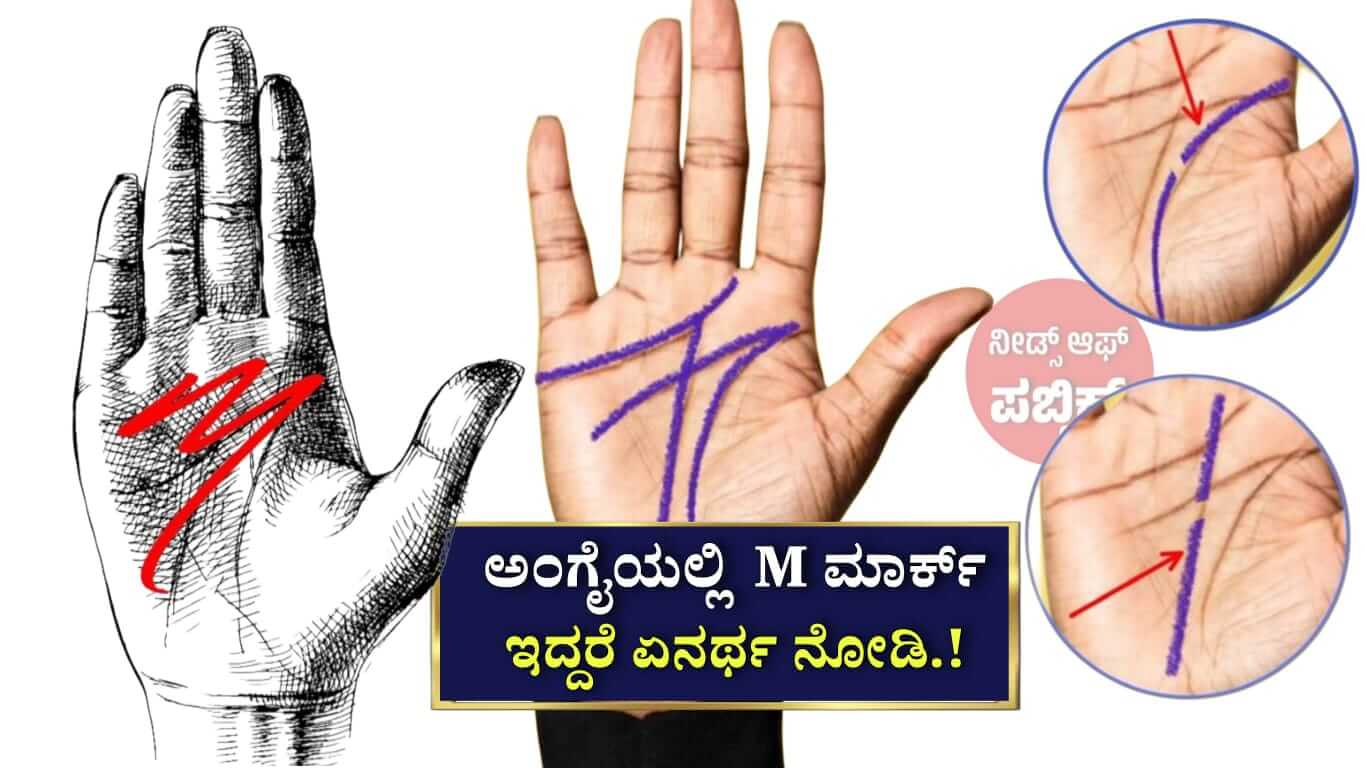 WhatsApp Image 2025 06 02 at 1.50.30 PM