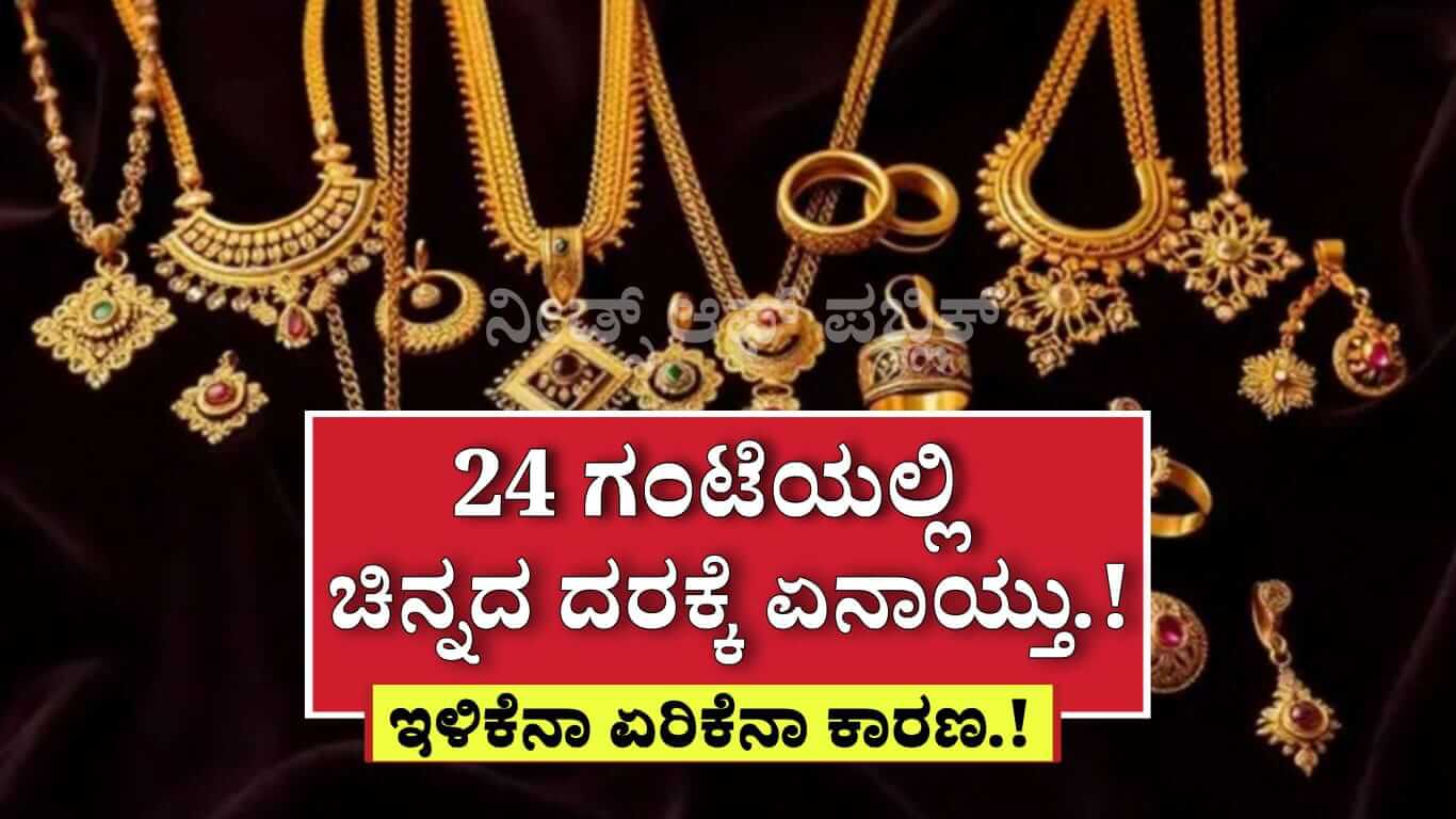WhatsApp Image 2025 06 03 at 5.25.04 PM
