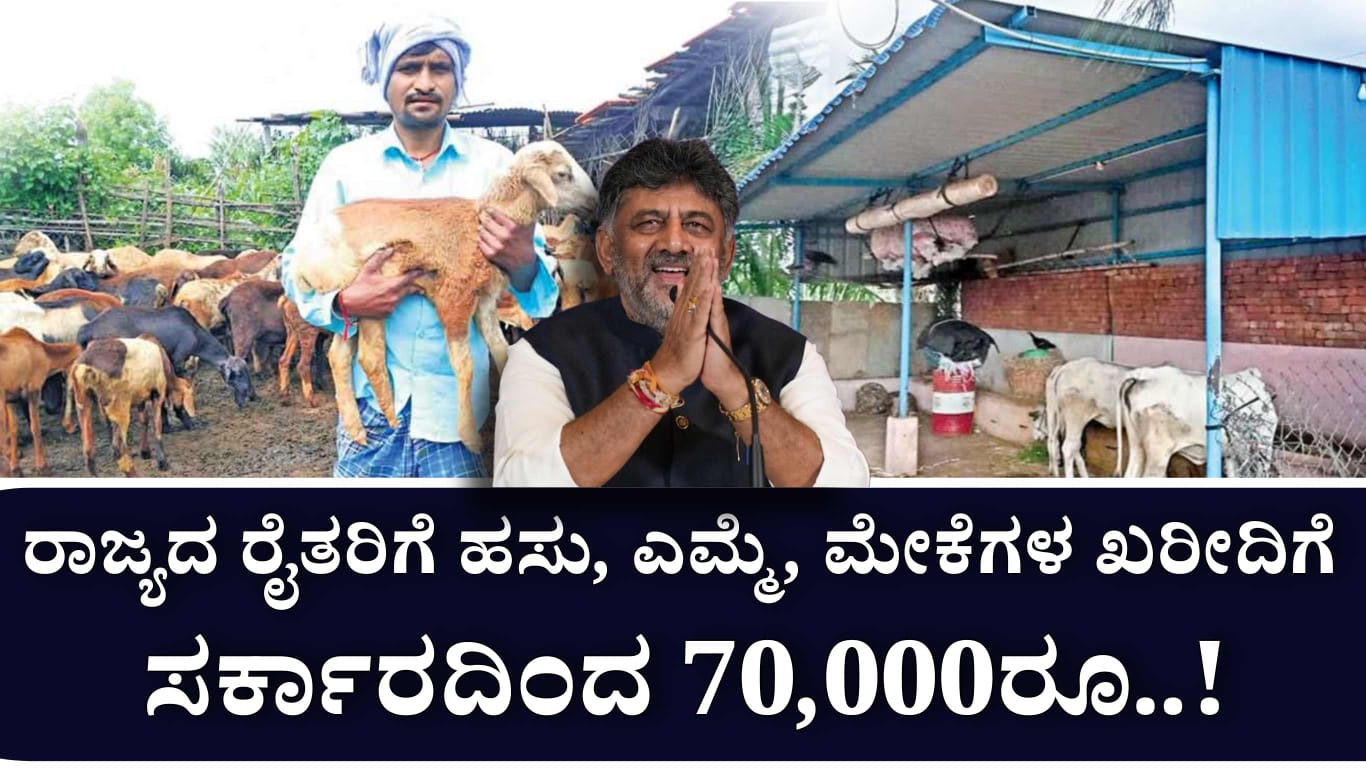 WhatsApp Image 2025 06 10 at 5.06.41 PM