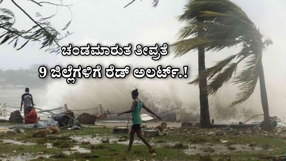 WhatsApp Image 2025 06 11 at 2.08.06 PM