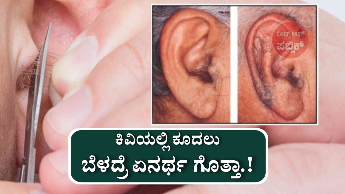 WhatsApp Image 2025 06 11 at 5.02.15 PM