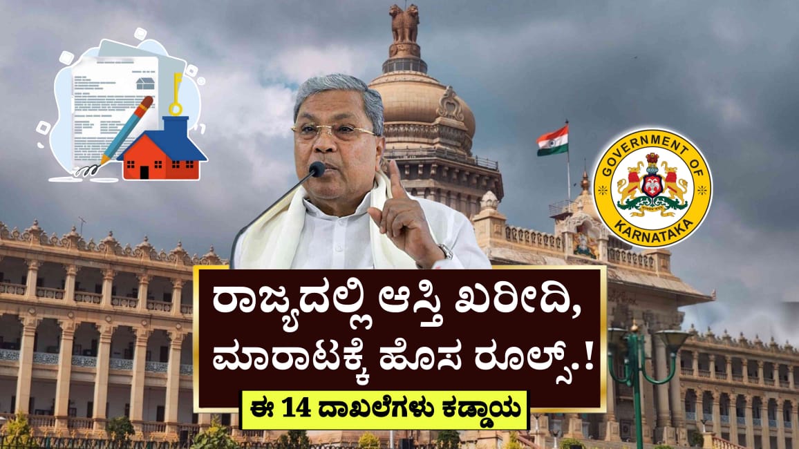 WhatsApp Image 2025 06 13 at 1.51.25 PM