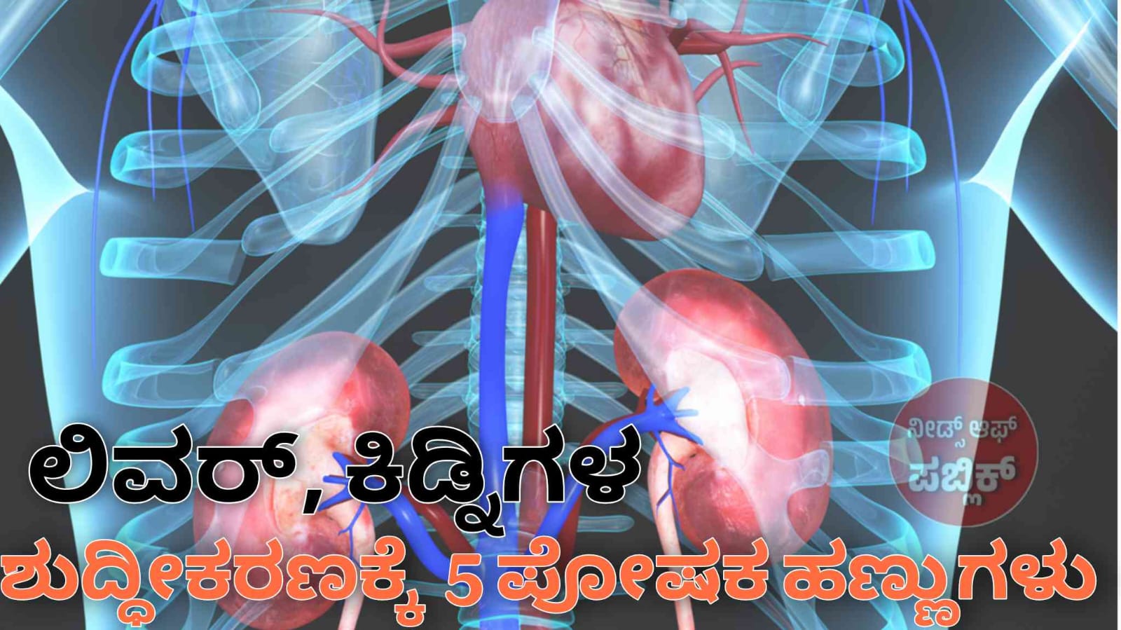 WhatsApp Image 2025 06 15 at 1.15.13 AM