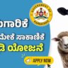 WhatsApp Image 2025 06 15 at 6.13.09 PM