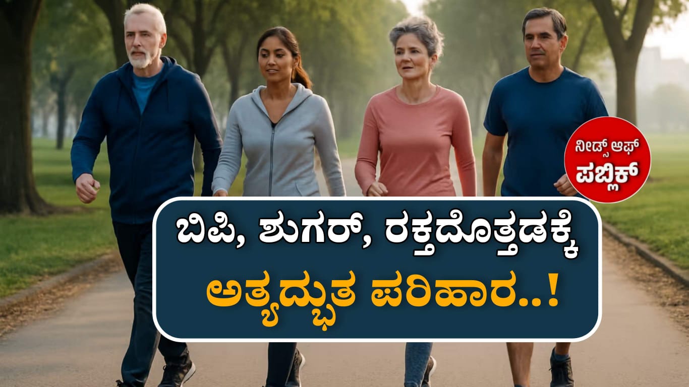 WhatsApp Image 2025 06 16 at 12.52.50 PM