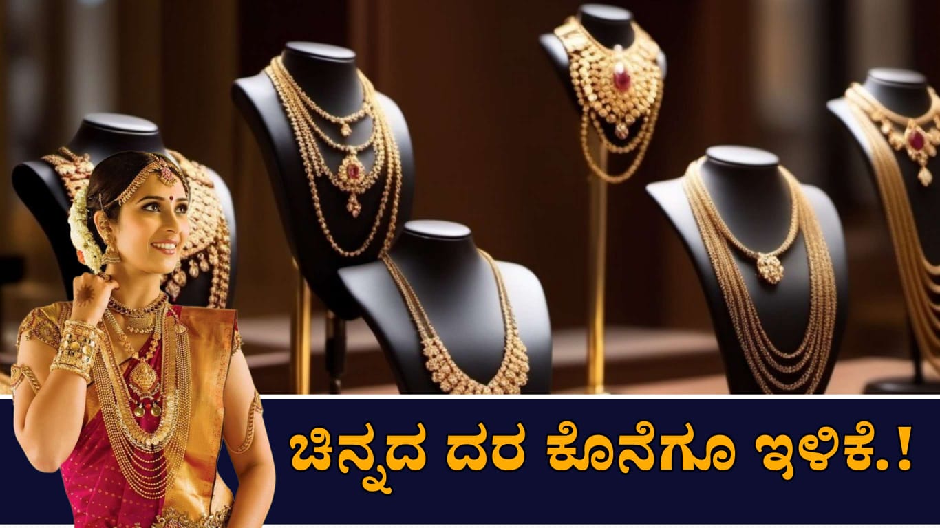 WhatsApp Image 2025 06 16 at 3.20.31 PM
