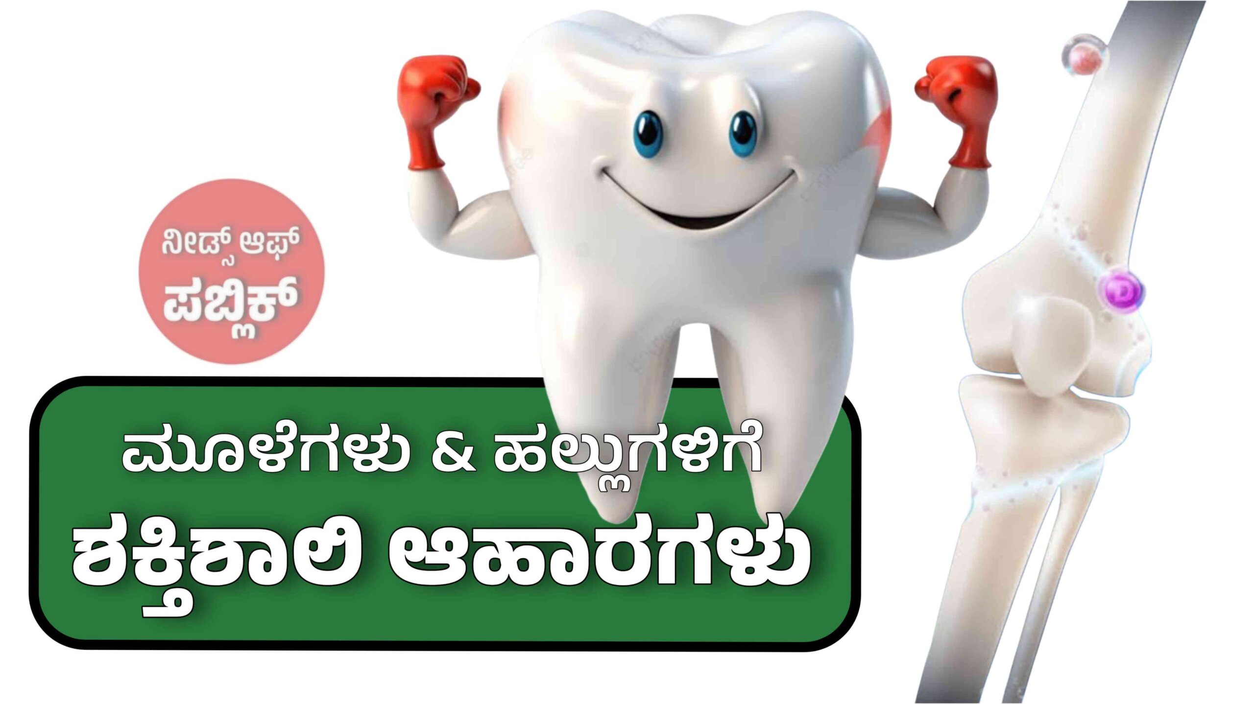 WhatsApp Image 2025 06 22 at 2.33.18 PM scaled