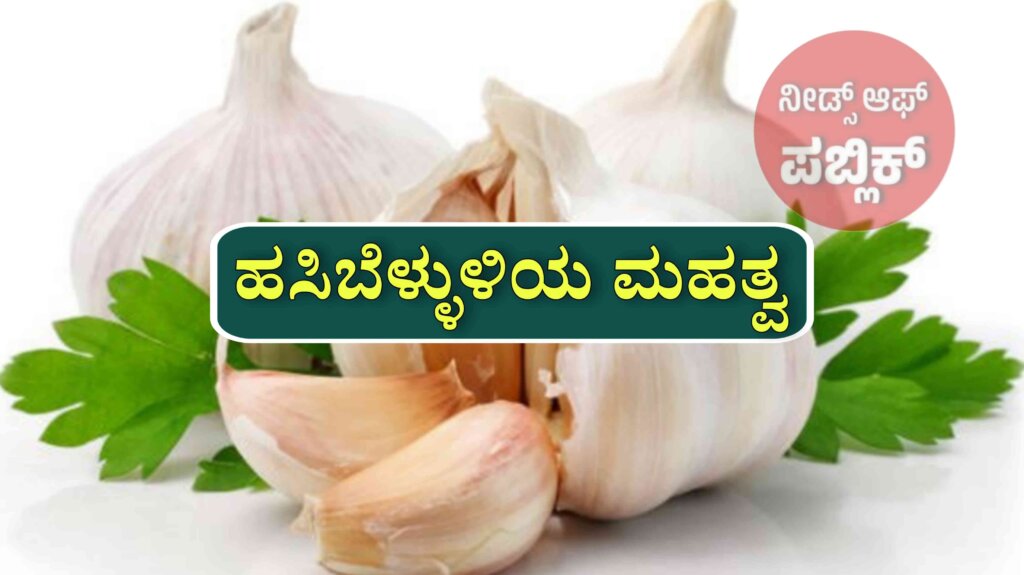 WhatsApp Image 2025 06 26 at 3.44.35 PM