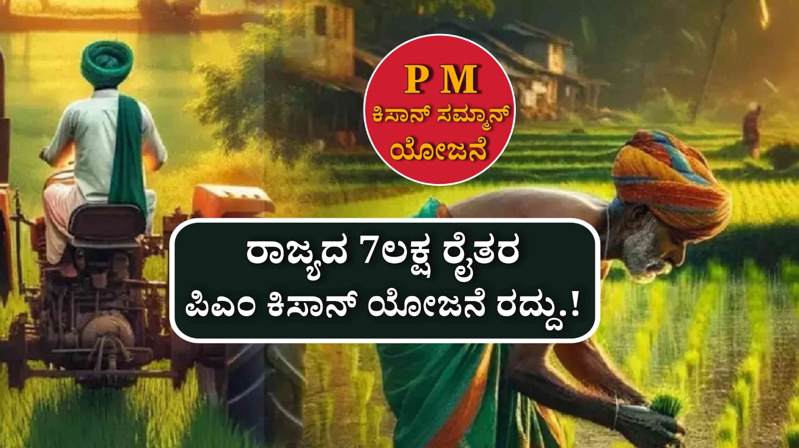 WhatsApp Image 2025 06 27 at 3.02.24 PM