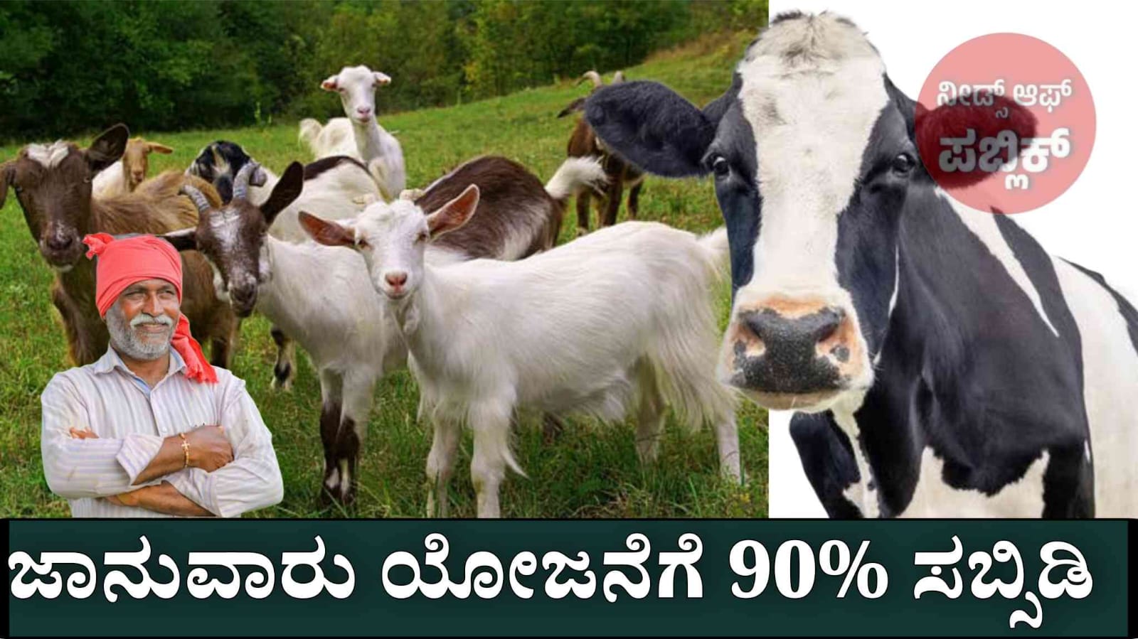 WhatsApp Image 2025 06 27 at 5.06.56 PM