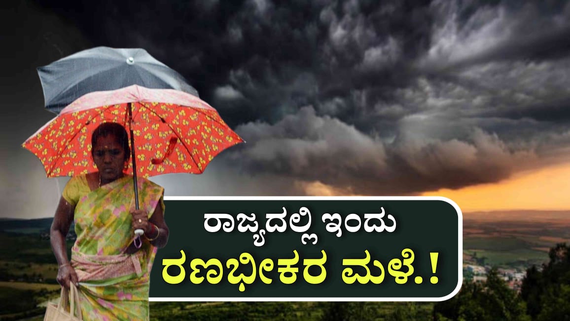 WhatsApp Image 2025 06 28 at 11.38.32 AM