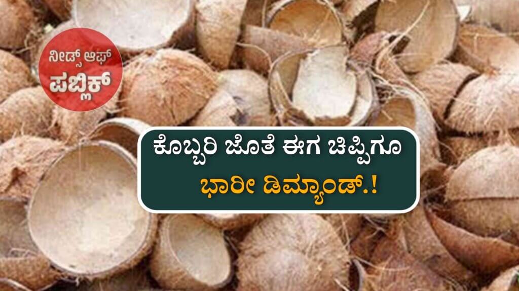 WhatsApp Image 2025 07 01 at 4.30.40 PM