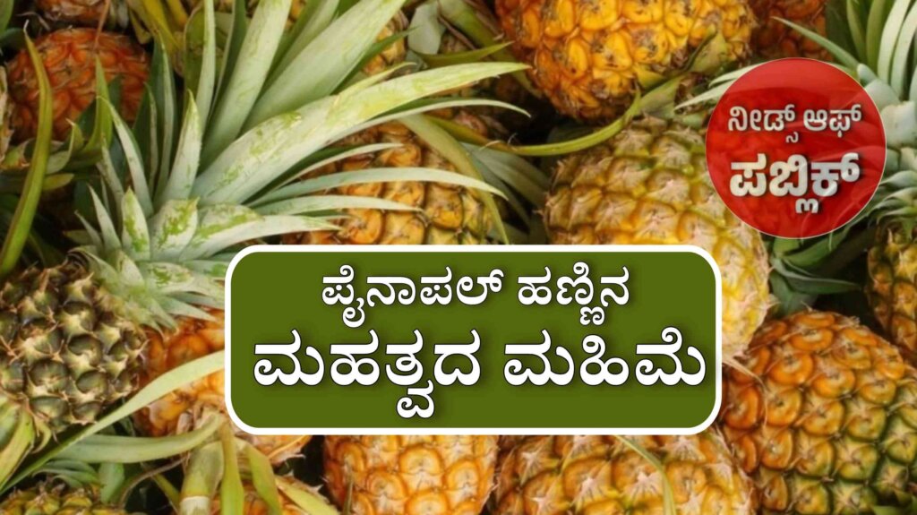 WhatsApp Image 2025 07 04 at 10.53.31 AM