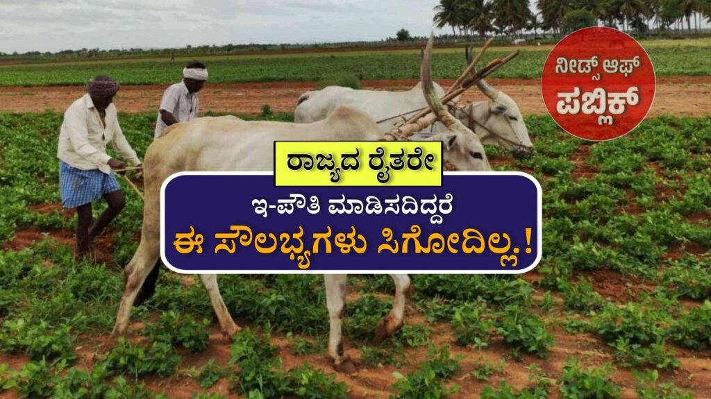 WhatsApp Image 2025 07 07 at 1.31.47 PM