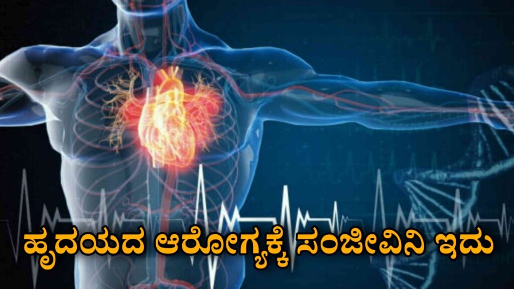 WhatsApp Image 2025 07 09 at 7.15.26 PM