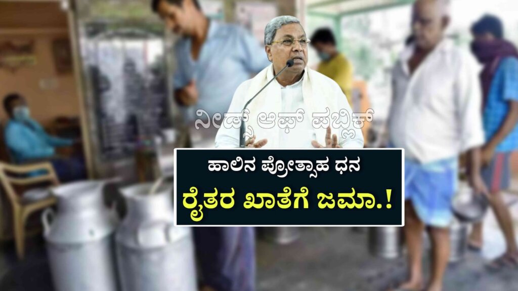 WhatsApp Image 2025 07 10 at 4.06.20 PM
