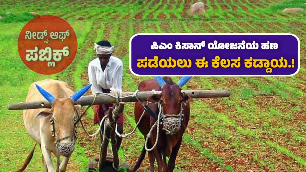 WhatsApp Image 2025 07 12 at 11.16.57 AM