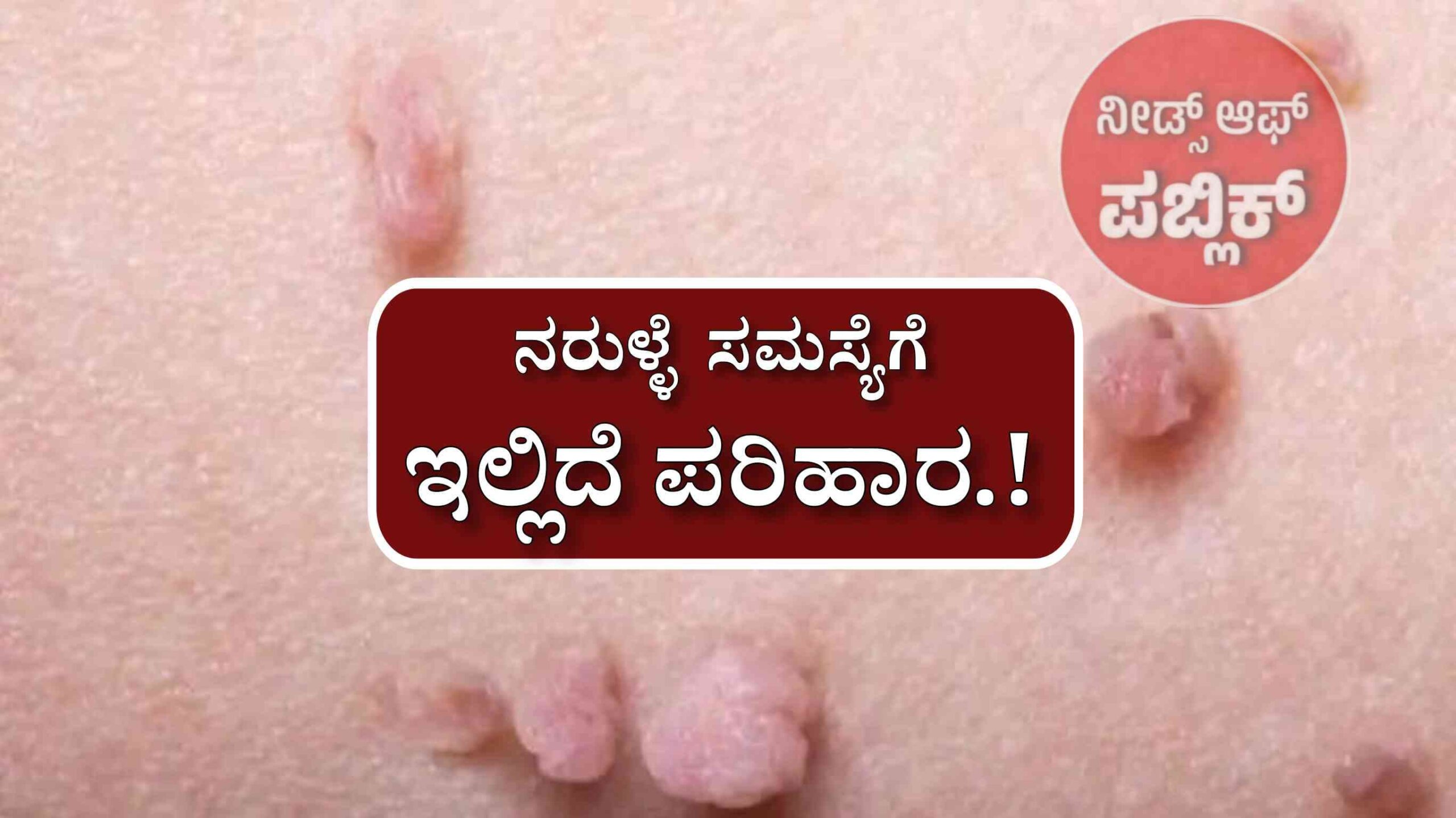WhatsApp Image 2025 07 13 at 5.24.48 PM scaled