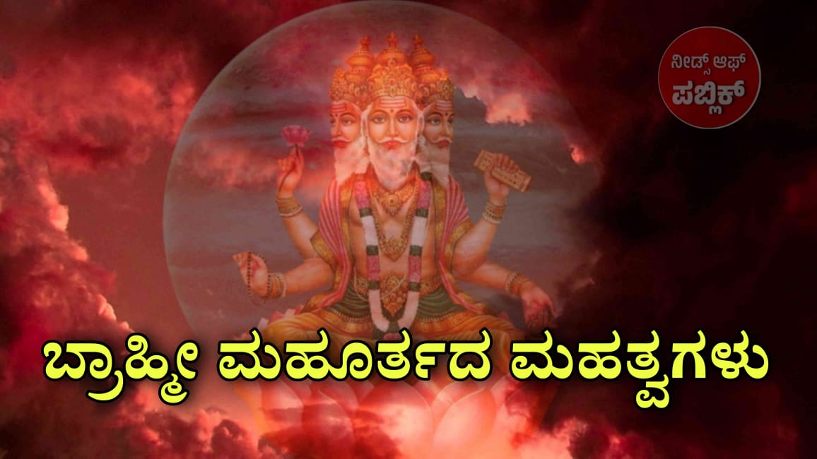 WhatsApp Image 2025 07 19 at 12.13.06 PM