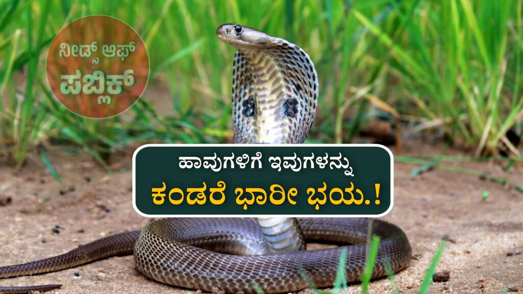 WhatsApp Image 2025 07 22 at 11.22.28 AM