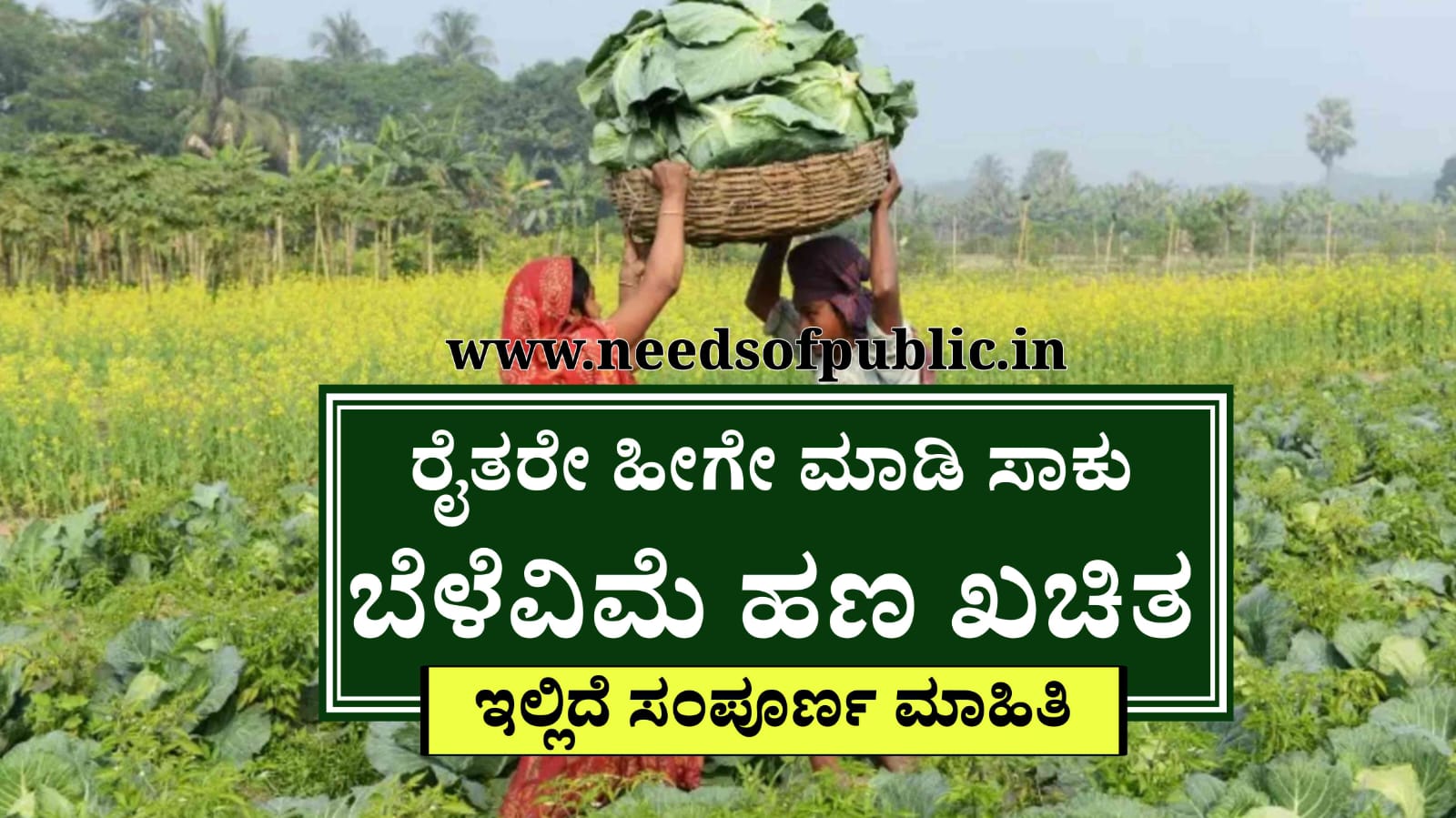 WhatsApp Image 2025 07 24 at 4.47.09 PM