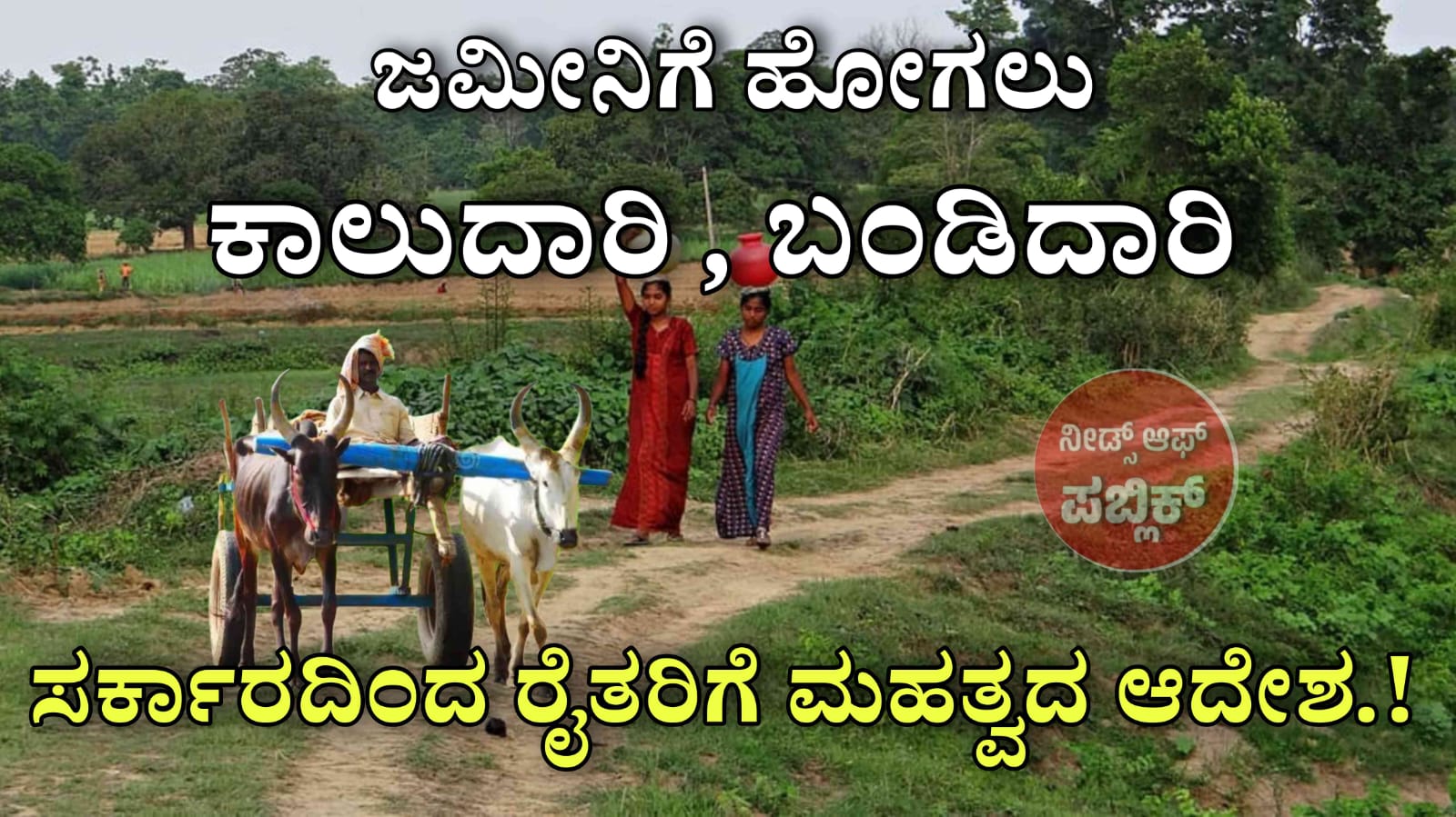 WhatsApp Image 2025 07 25 at 2.49.50 PM