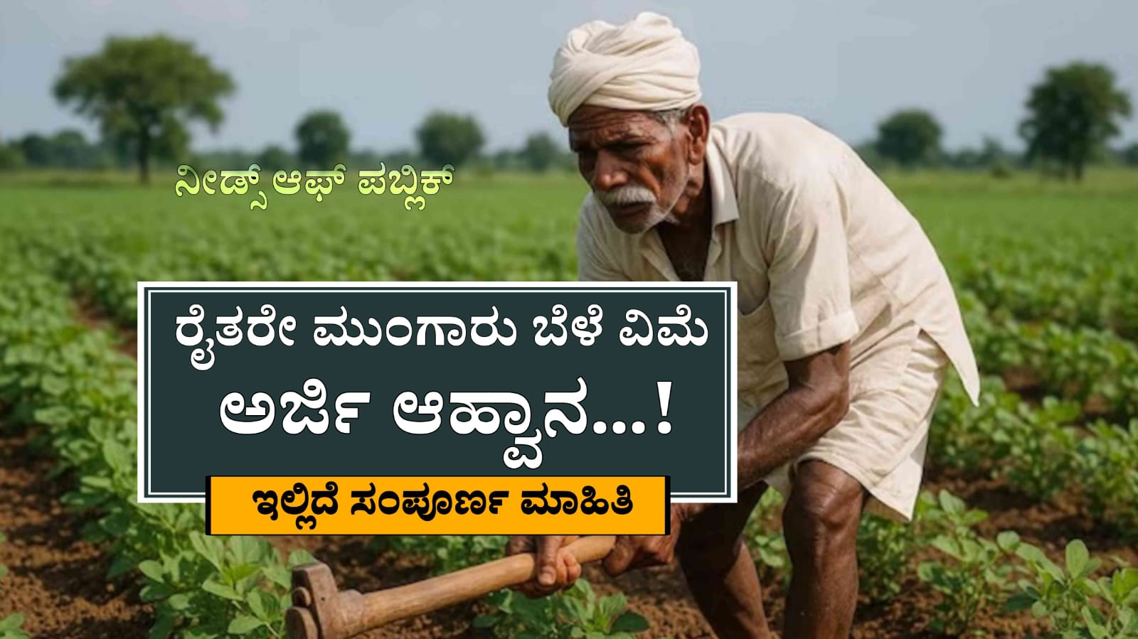 WhatsApp Image 2025 07 26 at 5.20.19 PM