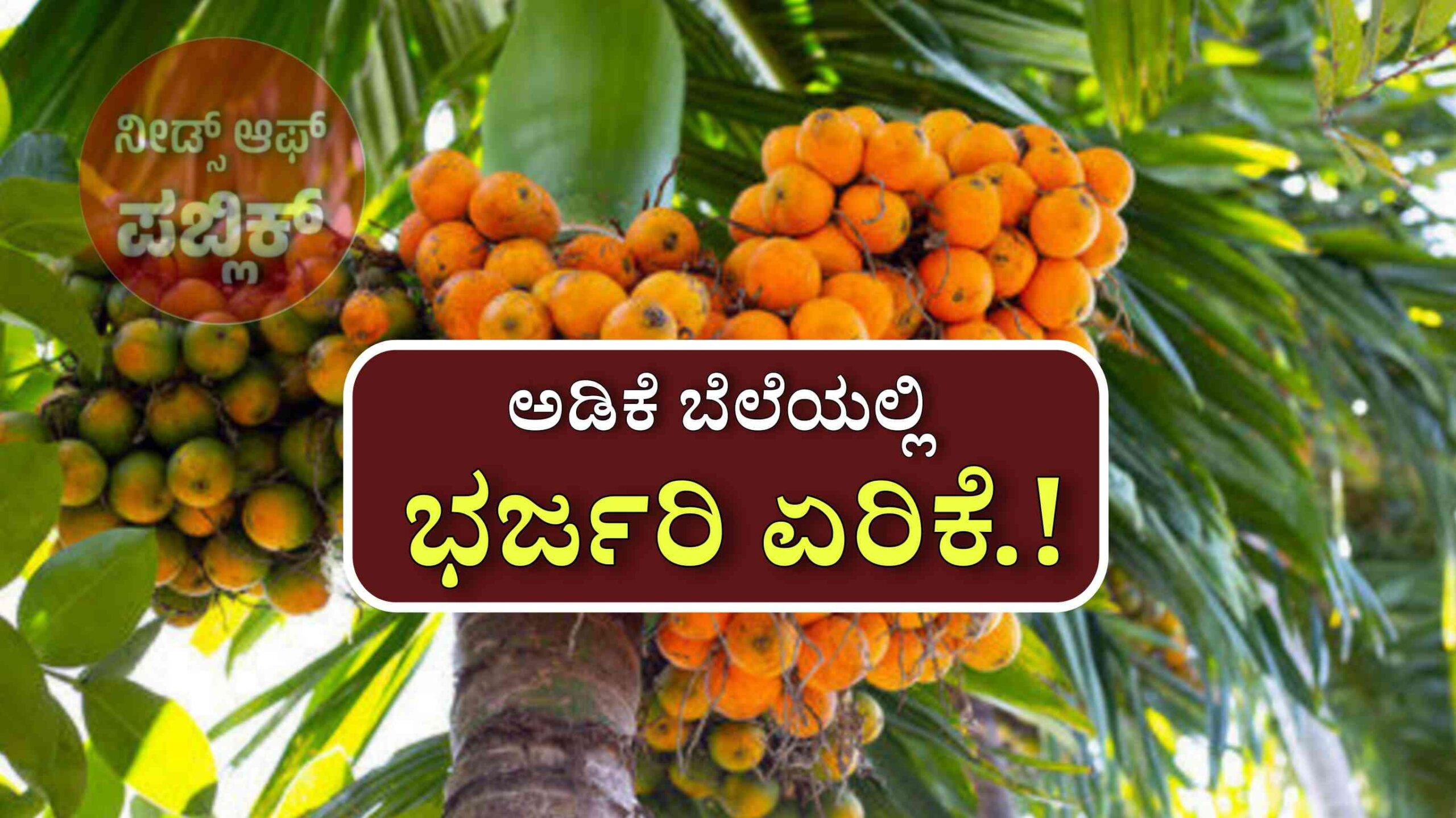 WhatsApp Image 2025 07 27 at 9.19.28 AM scaled