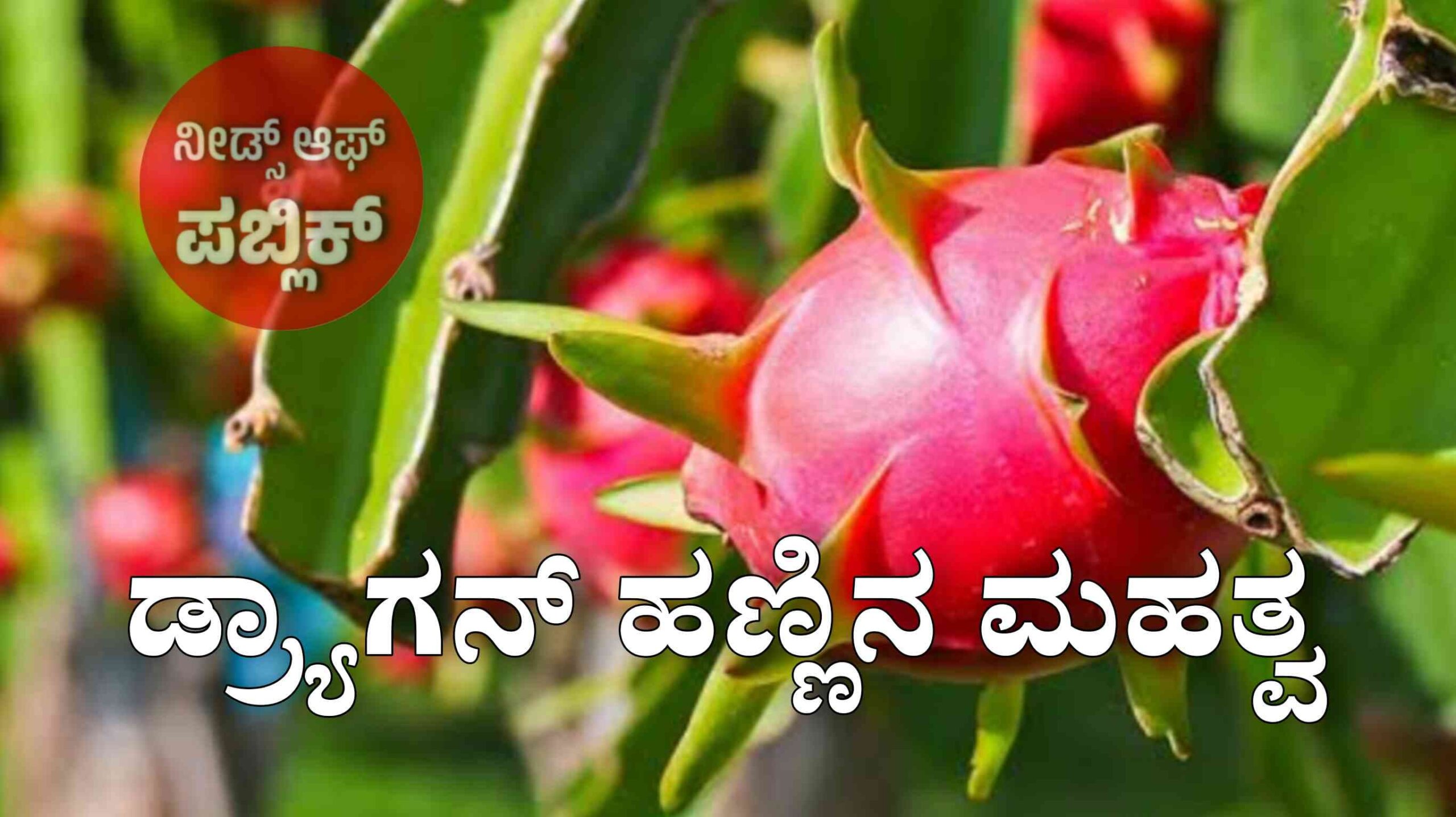 WhatsApp Image 2025 07 29 at 9.19.20 AM scaled