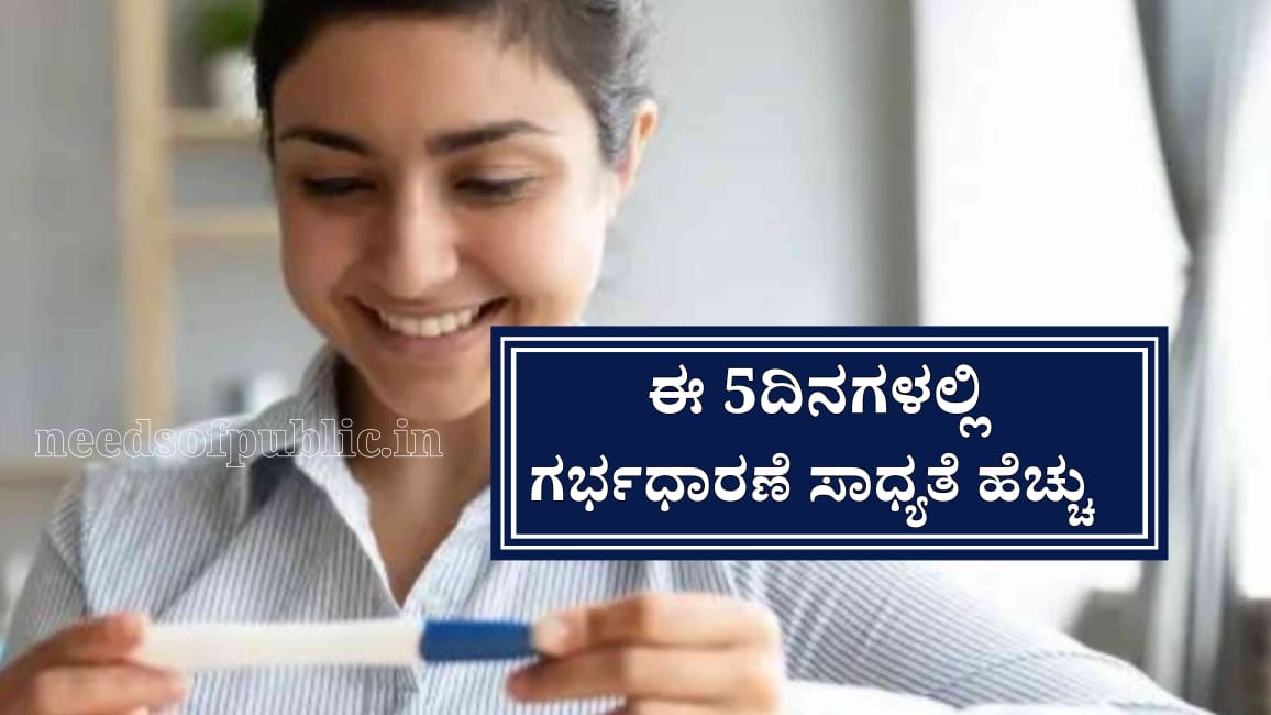 WhatsApp Image 2025 07 30 at 6.09.45 PM