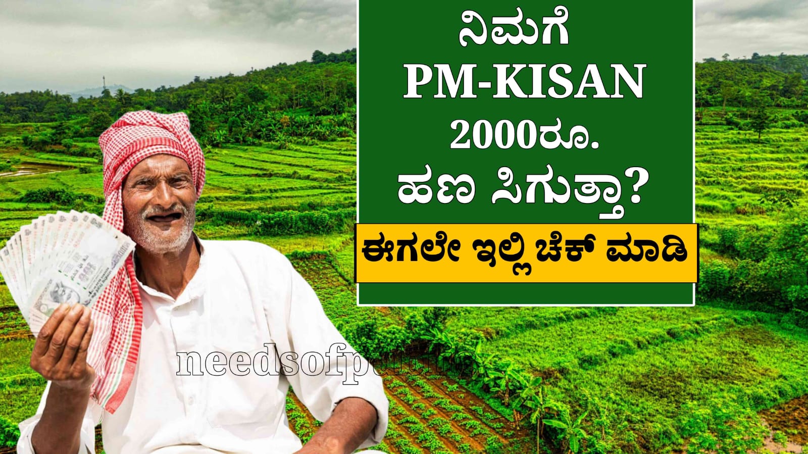 WhatsApp Image 2025 07 31 at 6.25.35 PM