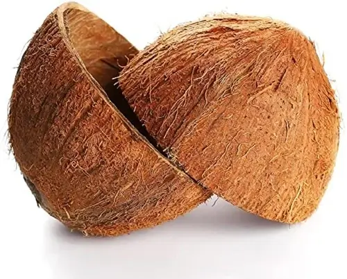 brown coconut shell 500x500 1