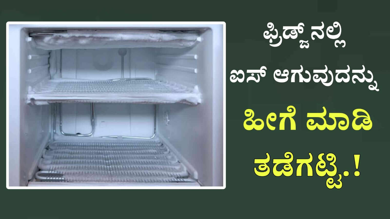 WhatsApp Image 2025 08 01 at 3.27.21 PM