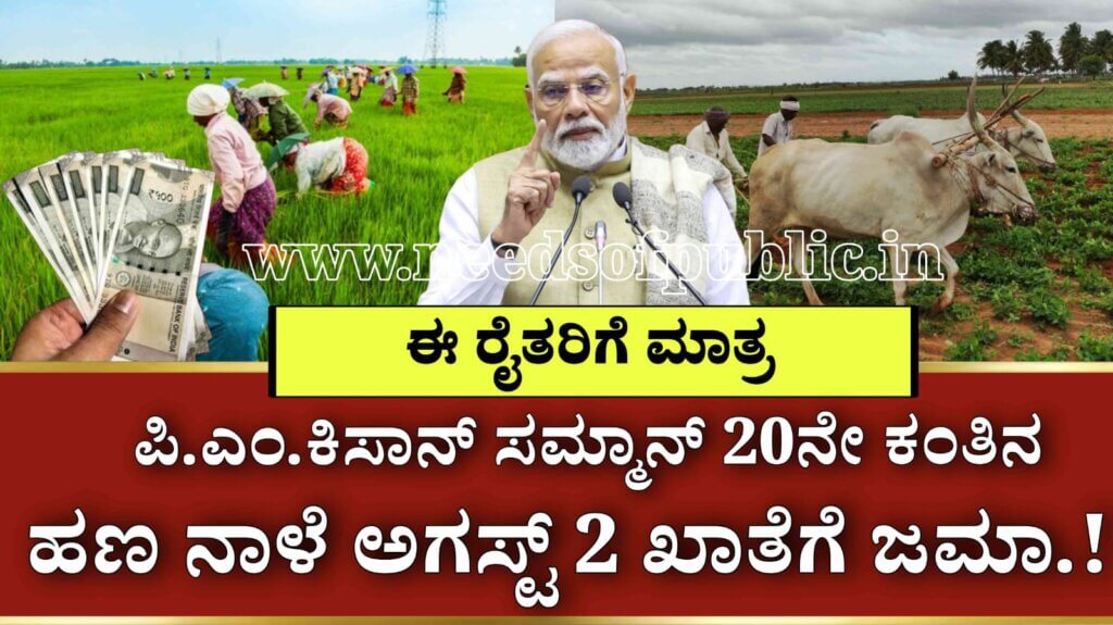 WhatsApp Image 2025 08 01 at 6.37.49 PM