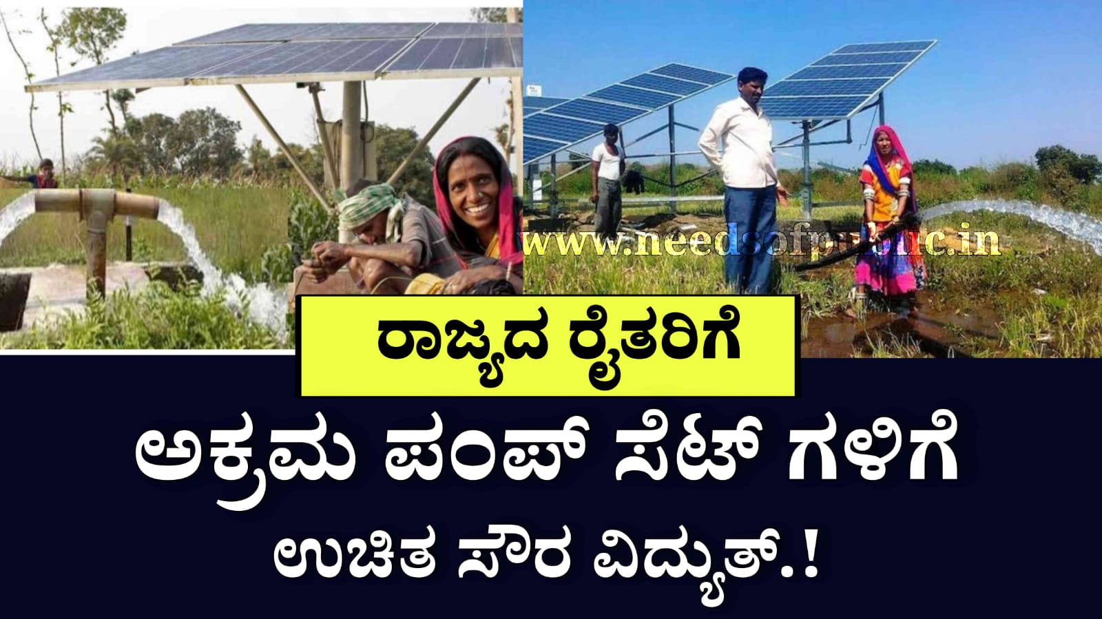 WhatsApp Image 2025 08 03 at 6.50.22 PM