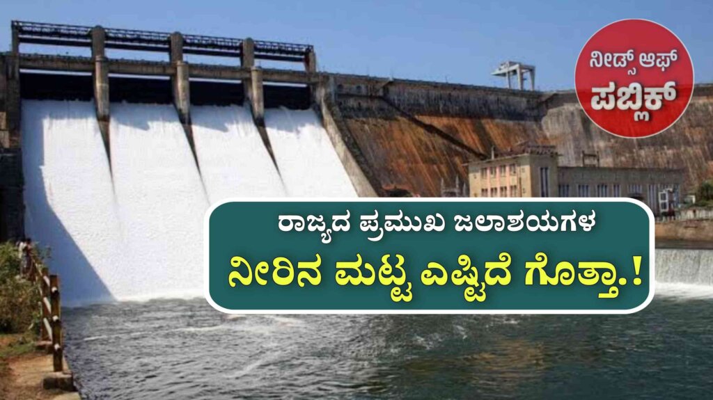 WhatsApp Image 2025 08 03 at 9.51.32 AM