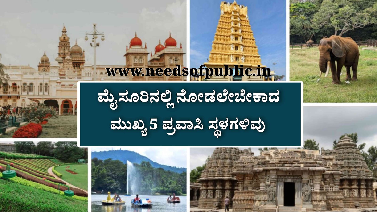 WhatsApp Image 2025 08 04 at 12.23.55 PM