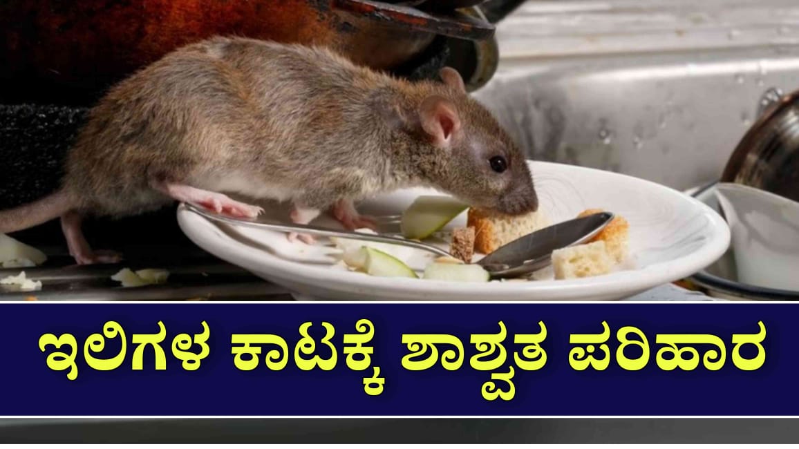 WhatsApp Image 2025 08 04 at 5.08.24 PM