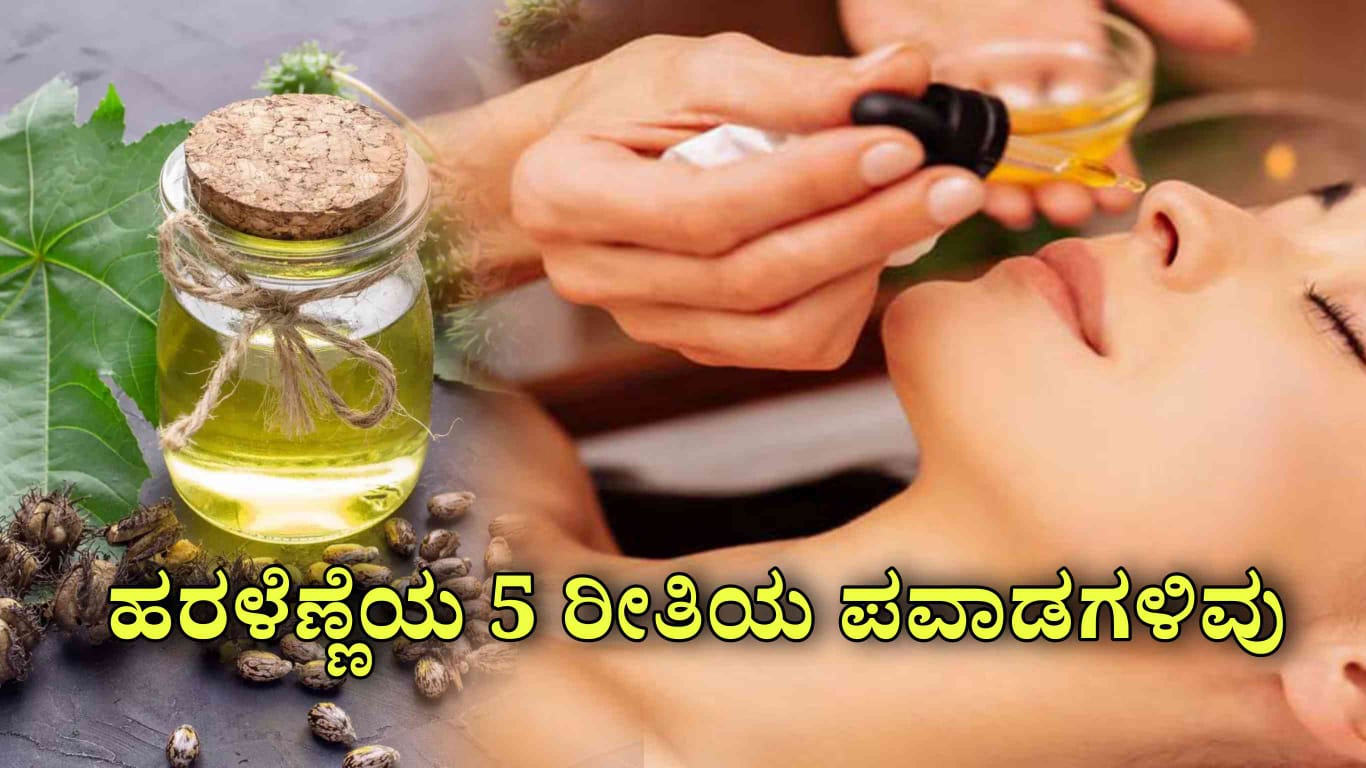 WhatsApp Image 2025 08 04 at 6.00.14 PM