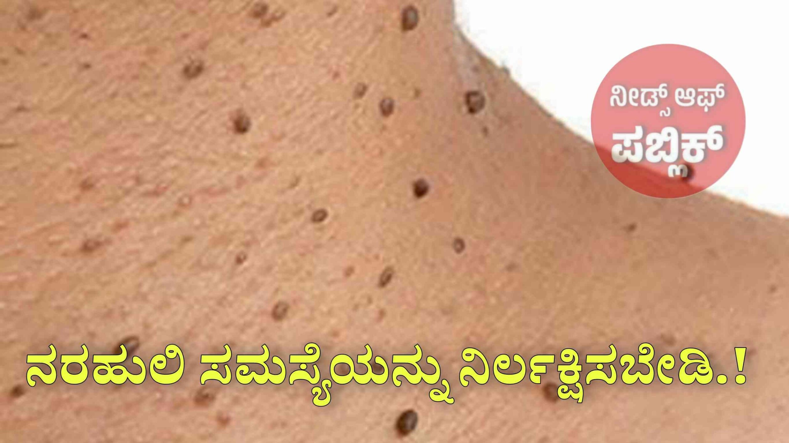 WhatsApp Image 2025 08 05 at 10.05.35 PM scaled