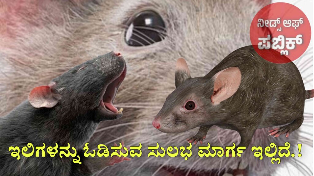 WhatsApp Image 2025 08 07 at 12.21.14 PM