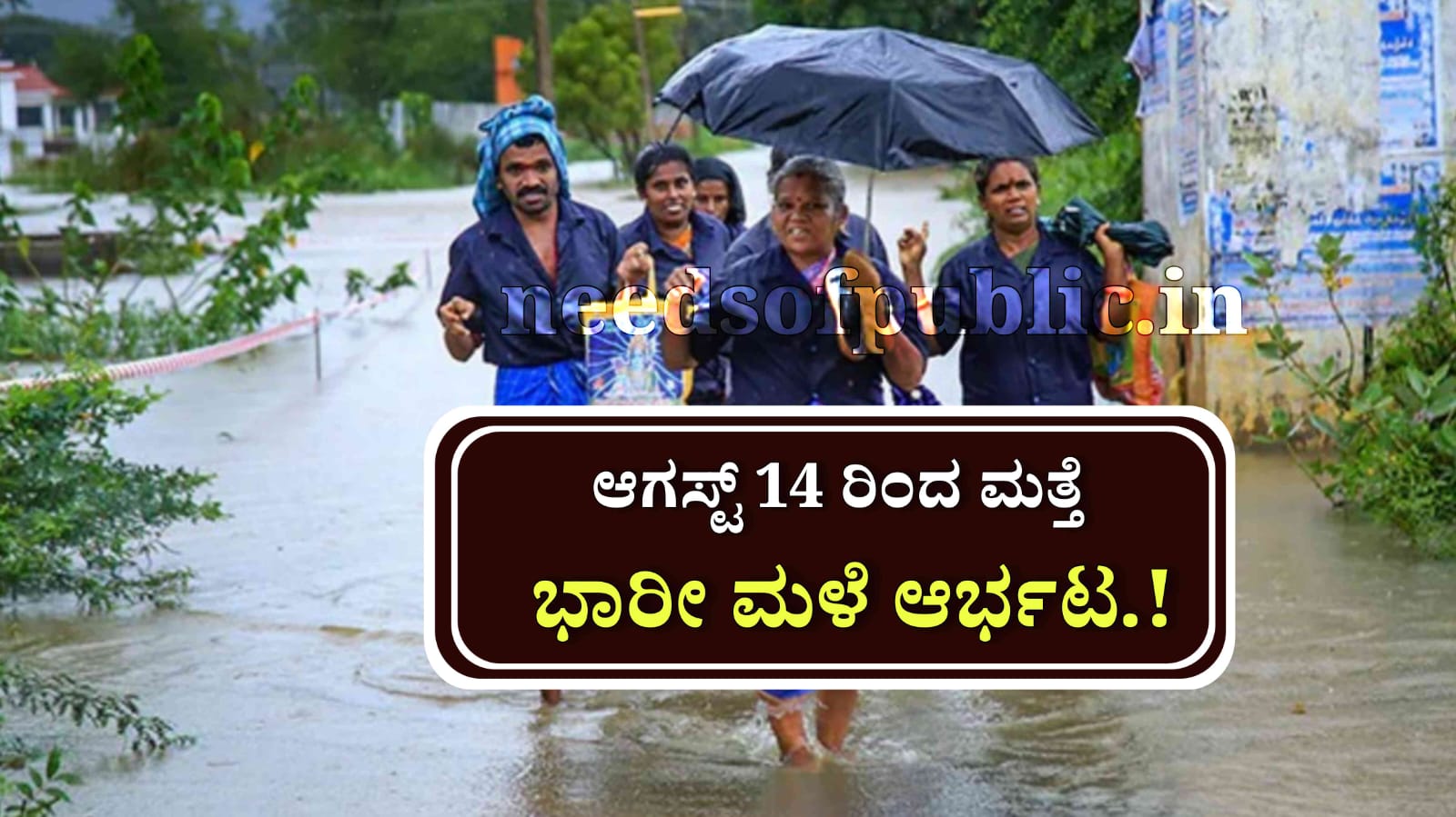 WhatsApp Image 2025 08 10 at 3.29.15 PM