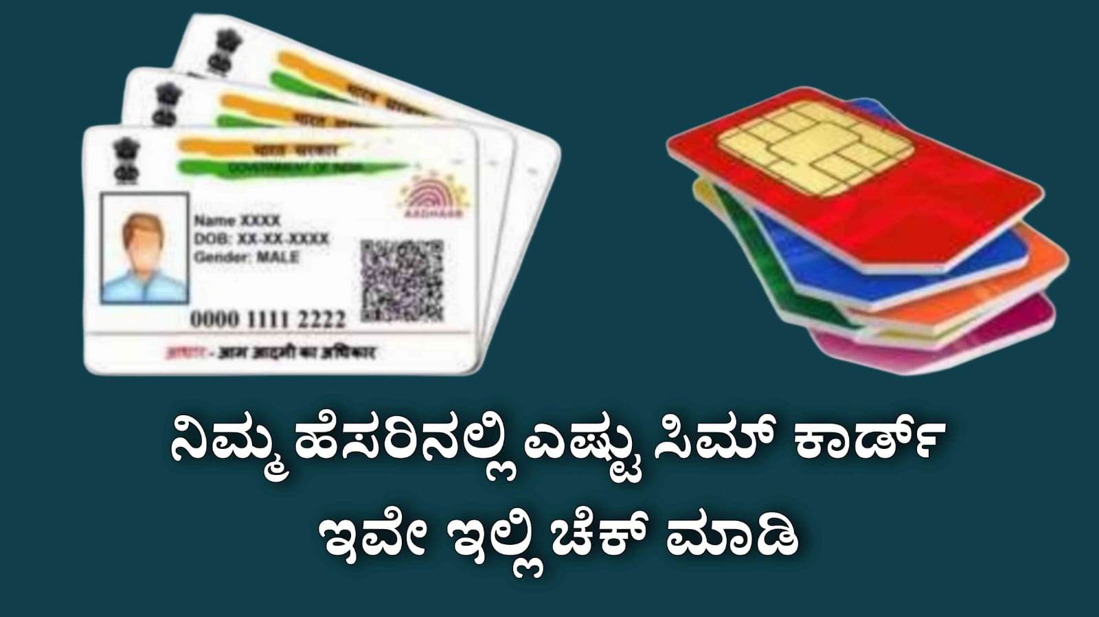 WhatsApp Image 2025 08 12 at 1.54.34 PM