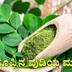 WhatsApp Image 2025 08 13 at 2.00.02 PM