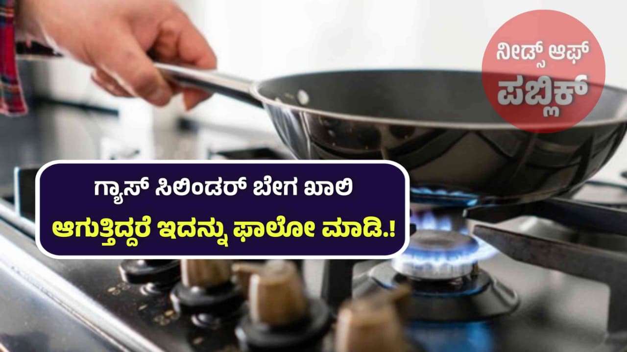 WhatsApp Image 2025 08 13 at 5.50.38 PM