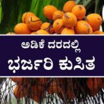 WhatsApp Image 2025 08 13 at 7.03.21 PM