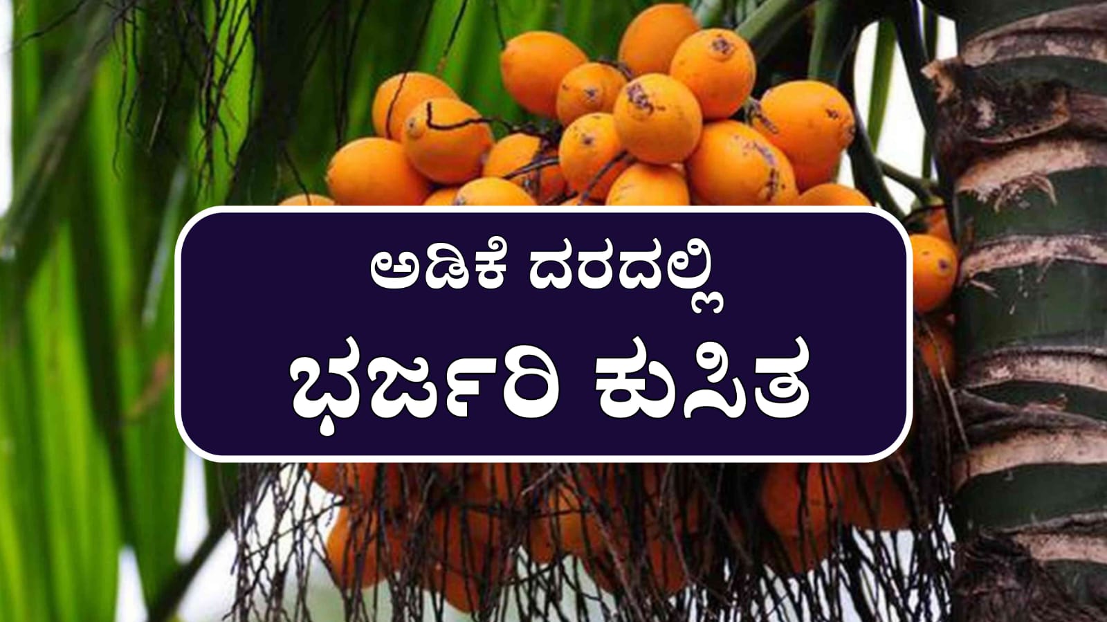 WhatsApp Image 2025 08 13 at 7.03.21 PM