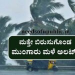 WhatsApp Image 2025 08 14 at 1.46.50 PM